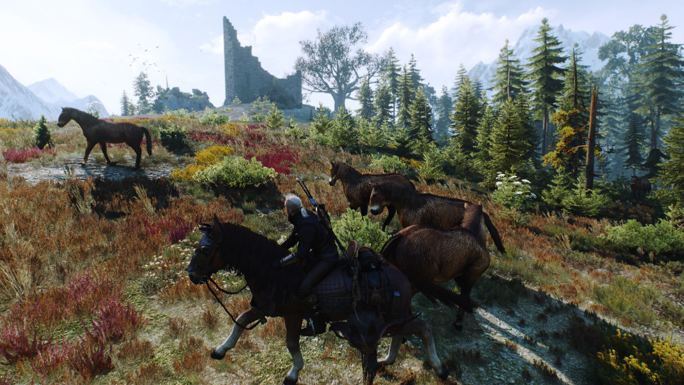 witcher3-2016-11-14-01-09-50-067.jpg