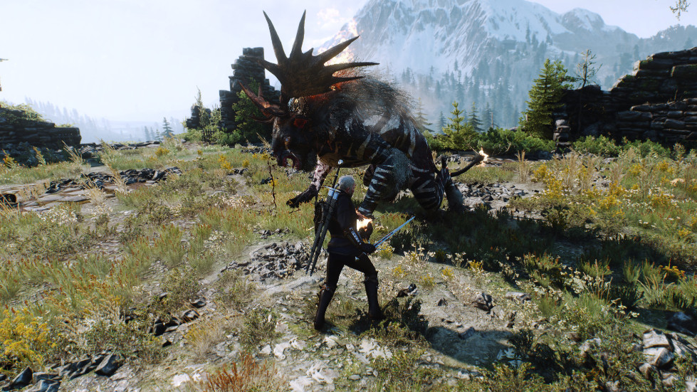 witcher3-2016-11-14-01-10-42-971.jpg