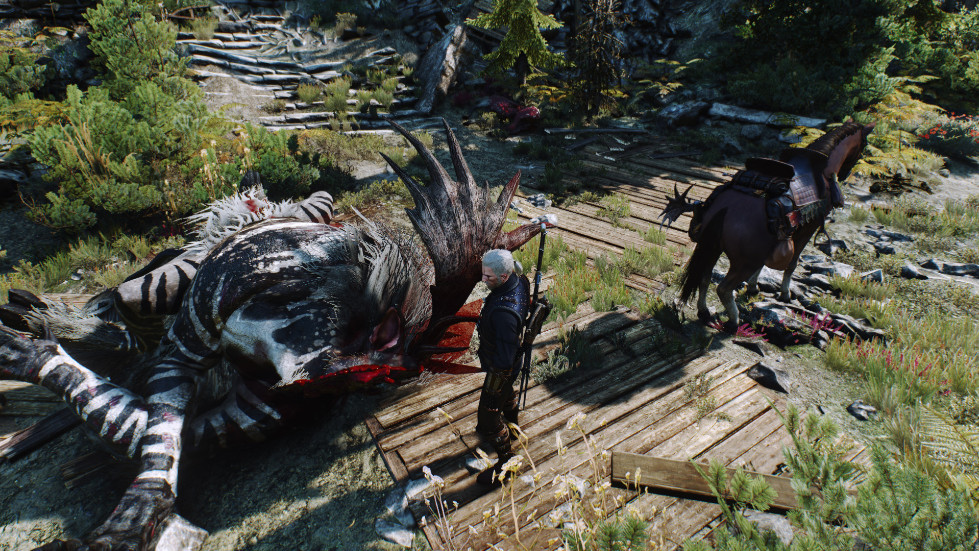 witcher3-2016-11-14-01-22-22-704.jpg