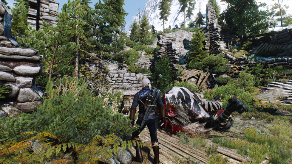 witcher3-2016-11-14-01-23-41-726.jpg