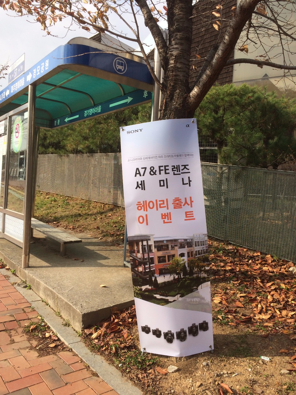 헤이리 모델 출사 (사진 다수)_2.jpg