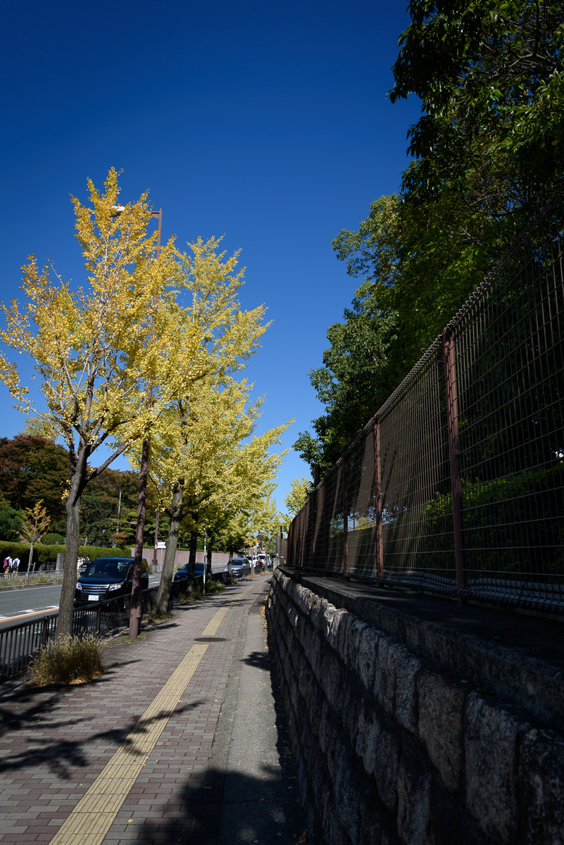 일본 관서지방 여행 - 첫날 (오사카 맥주공장, 공중정원)_4.jpg