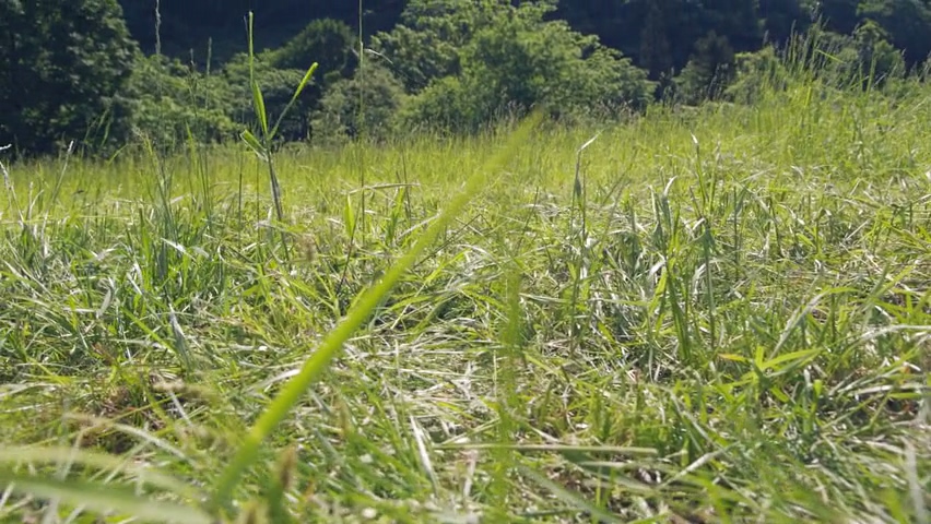 전직의 중요성(스압)_20.jpg