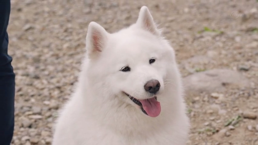 전직의 중요성(스압)_29.jpg