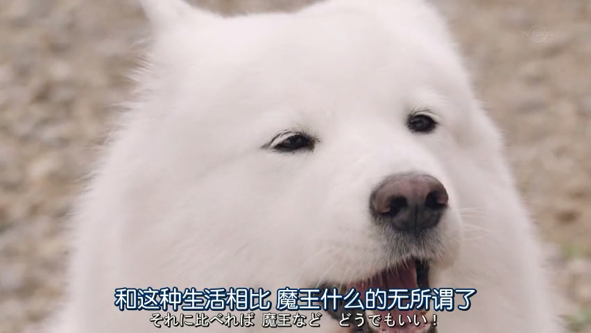 전직의 중요성(스압)_32.jpg