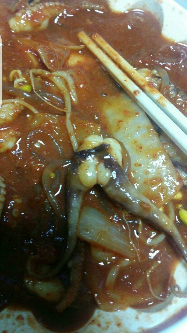 [후방]찢어진 검스_1.jpg