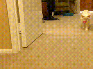 특이점이 온 떼깔룩_1.jpg