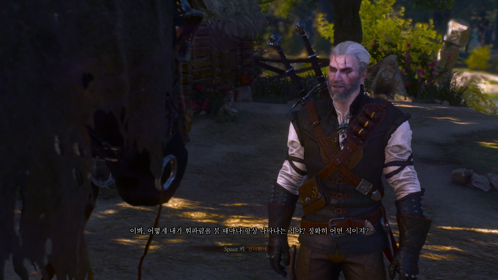 The Witcher 3 2016.12.10 - 15.26.10.03.png