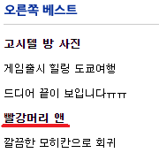 빨강머리 앤 오른쪽 3.png