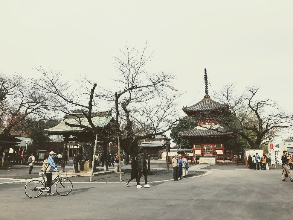 도쿄 근교 작은 에도(小江戸) 가와고에 여행 | 여행 행사 풍경 사진 갤러리 도쿄 근교 작은 에도(小江戸) 가와고에 여행 | 여행 행사 풍경 사진 갤러리