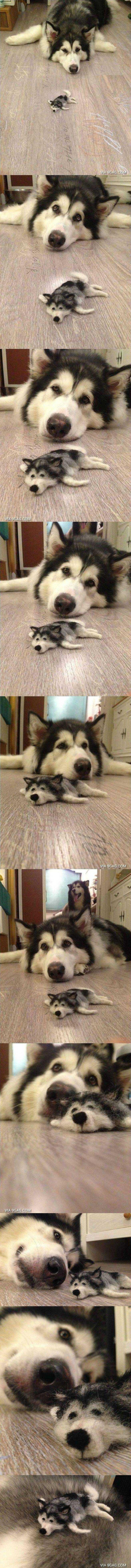 털에서 만들어진 클론_1.jpg