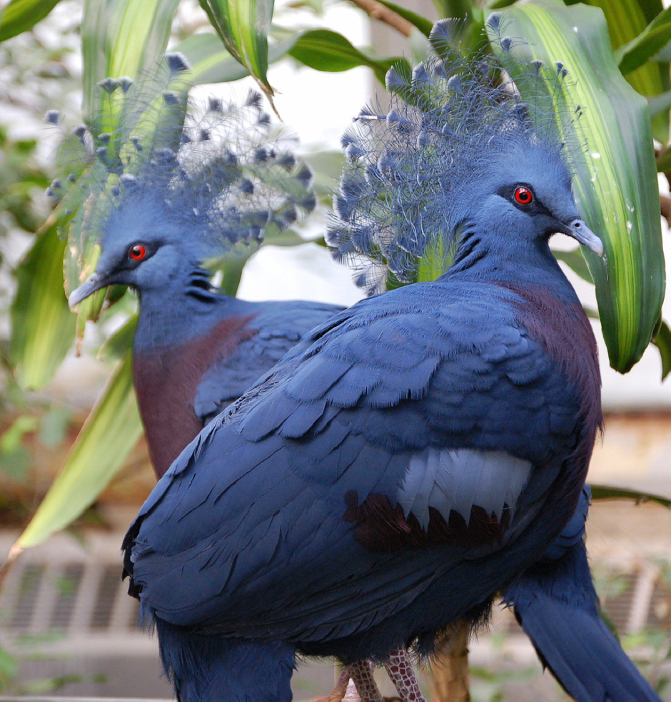 "푸른날개가 당했다는군"_1.jpg