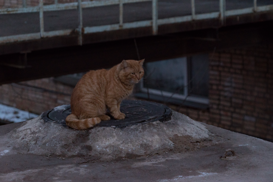 밀덕밀덕한 블라디보스톡 여행기 (스압)_134.jpg