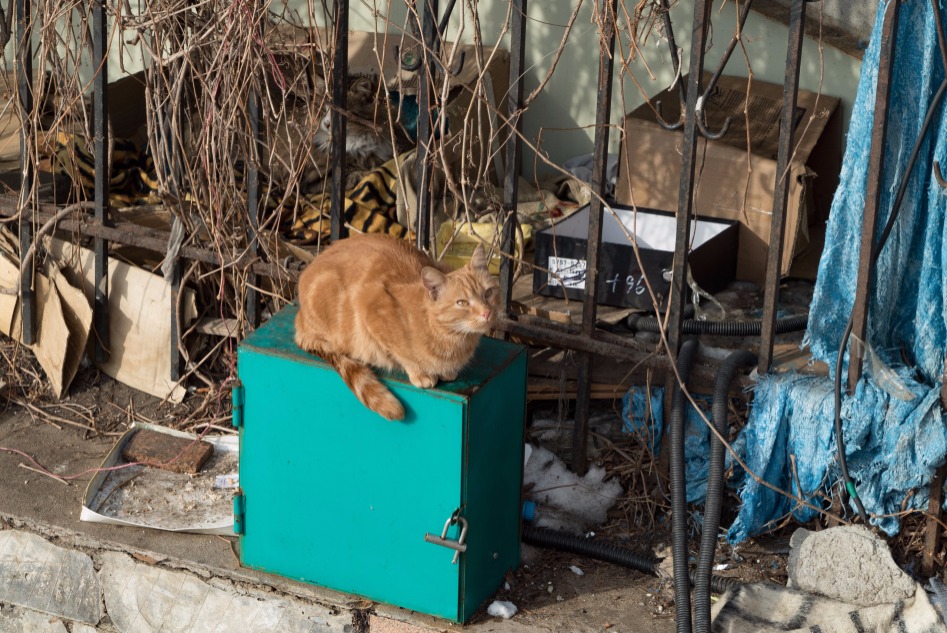 밀덕밀덕한 블라디보스톡 여행기 (스압)_183.jpg