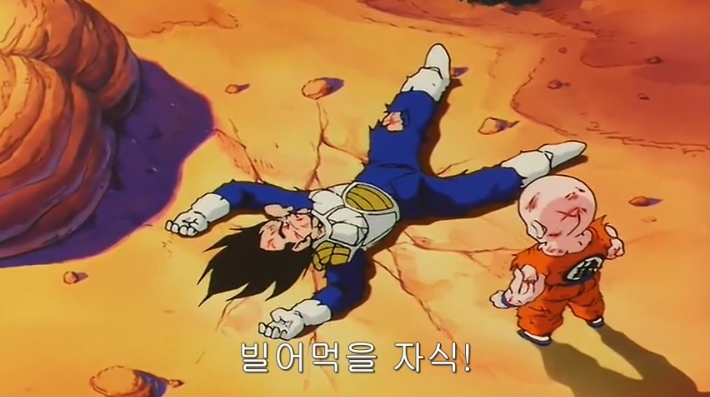 [드래곤볼] 네놈들의 묘 말이냐?!_46.jpg