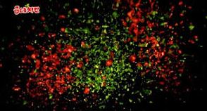 [스포] 도깨비.jpg_2.jpg