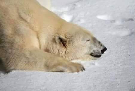 루리웹의 문인들_10.jpg