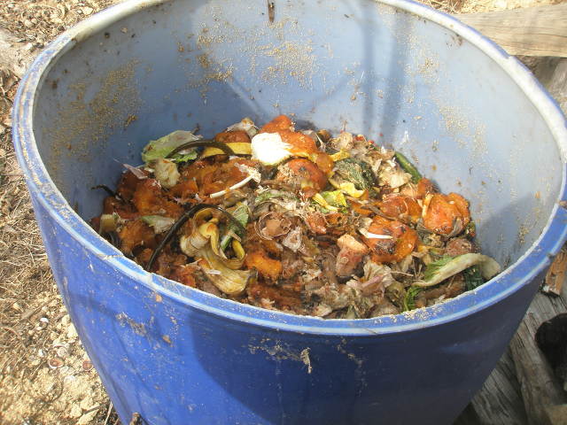 오늘 취사병들 일과.jpg_22.jpg