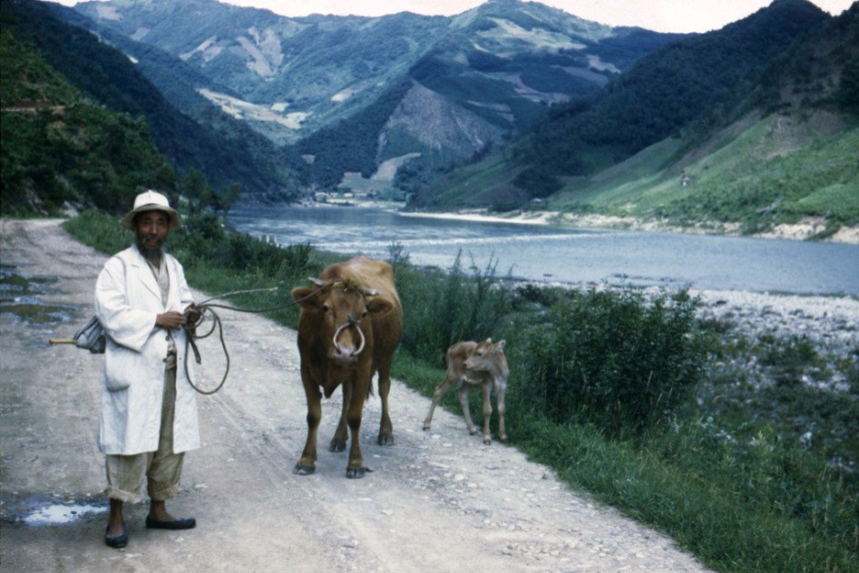 (스압주의) 1946년 해방 직후의 대한민국, 그 풍경들.JPG_5.jpg
