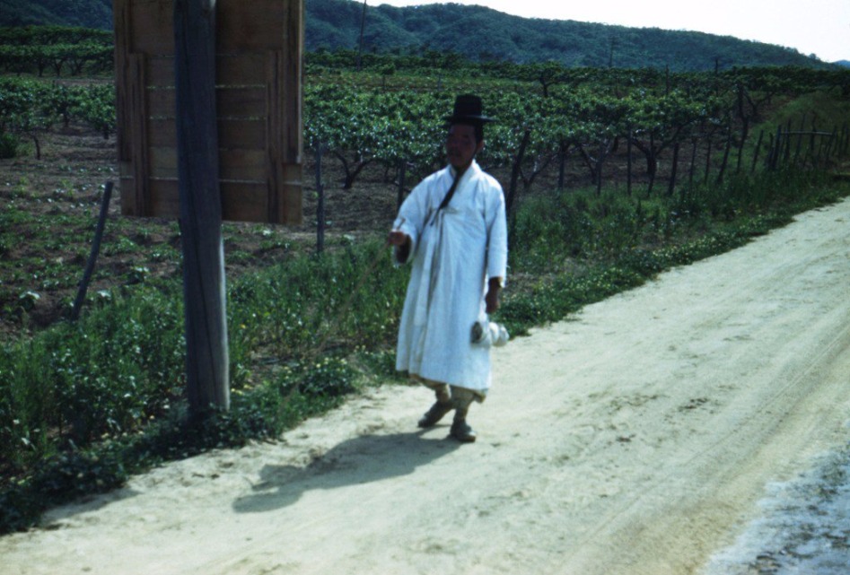 (스압주의) 1946년 해방 직후의 대한민국, 그 풍경들.JPG_6.jpg