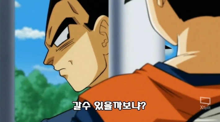 [드래곤볼 슈퍼] 네가 낳는거도 아니니 같이 싸우자!_4.jpg