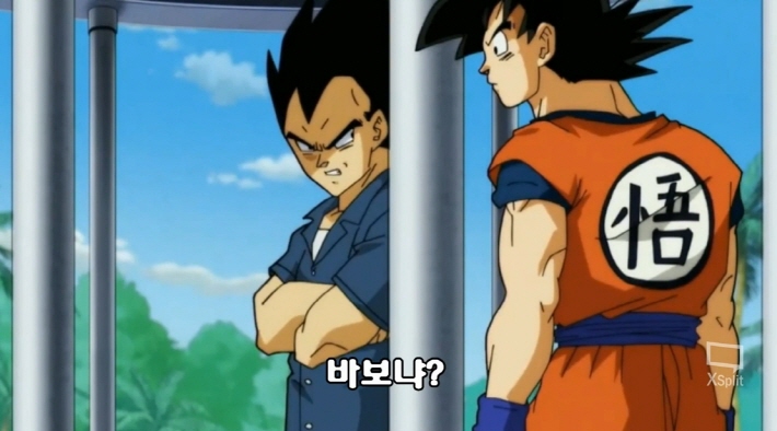 [드래곤볼 슈퍼] 네가 낳는거도 아니니 같이 싸우자!_6.jpg