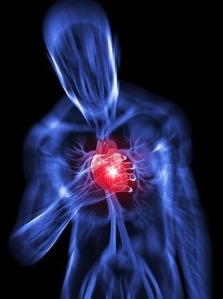 [스쿠코레 공식사이트] 오늘의 허그 2월 9일자 갱신내역_1.jpg