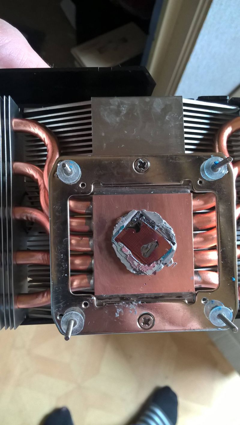 [혐주의] 참수짤 올려본다_1.jpg