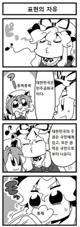 표현의 자유.jpg