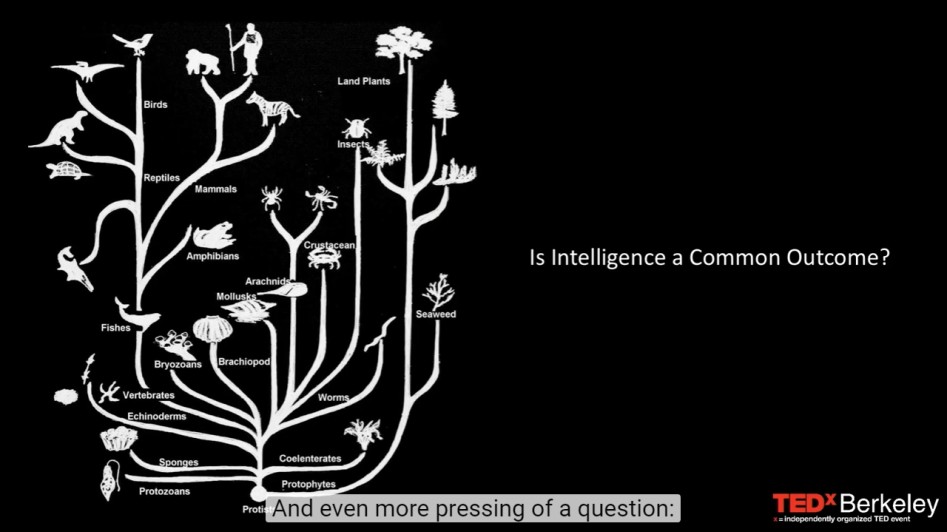 특이점을 넘어서 : 외계 지적생명체를 탐사해서 노벨상을 타보자.nobel_8.png