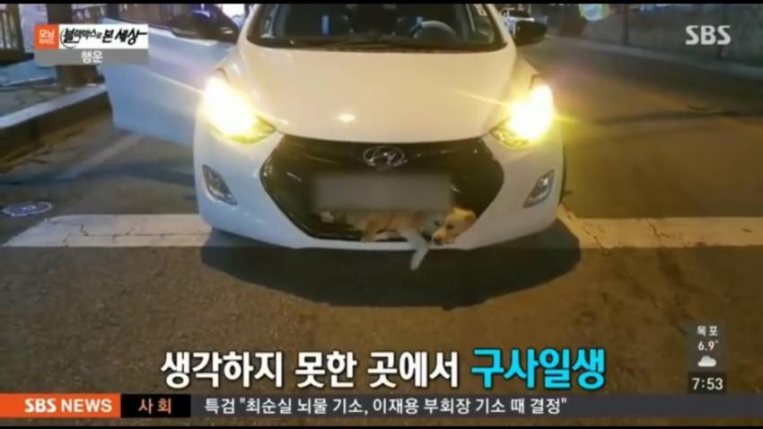 익스트림 로드킬.jpg_4.jpg