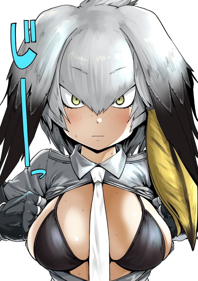 케모노프렌즈)스압) 삼백안의 매력에 대해서 araboza_52.jpg