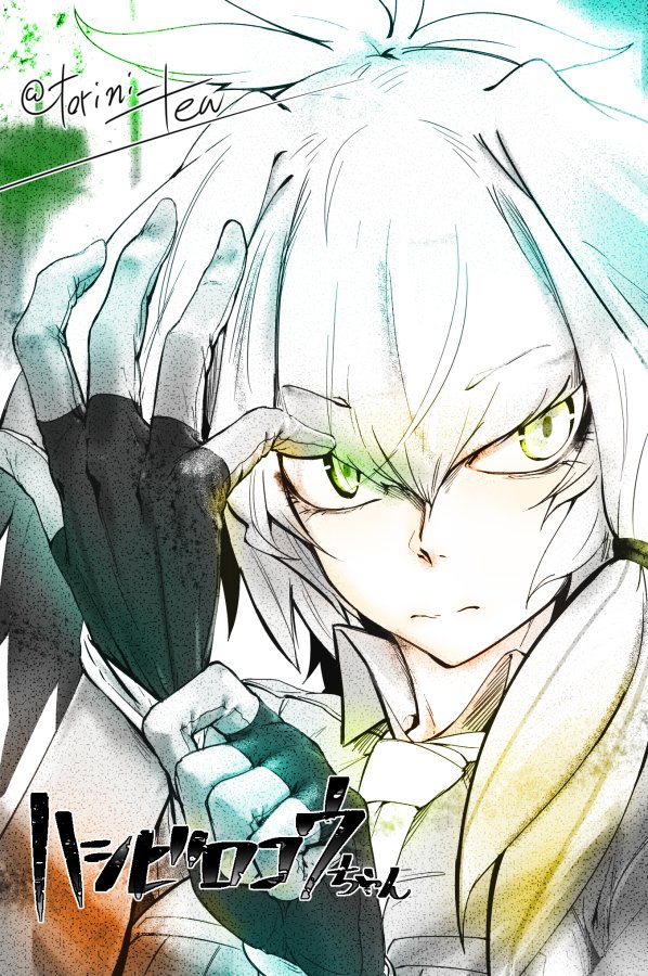 케모노프렌즈)스압) 삼백안의 매력에 대해서 araboza_3.jpg