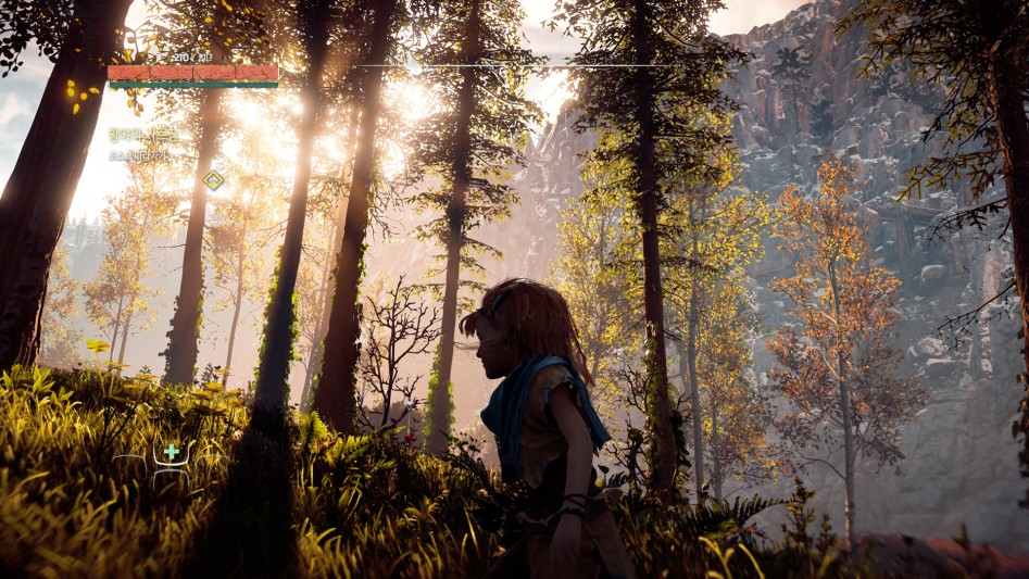 Horizon Zero Dawn™_20170228105733.png