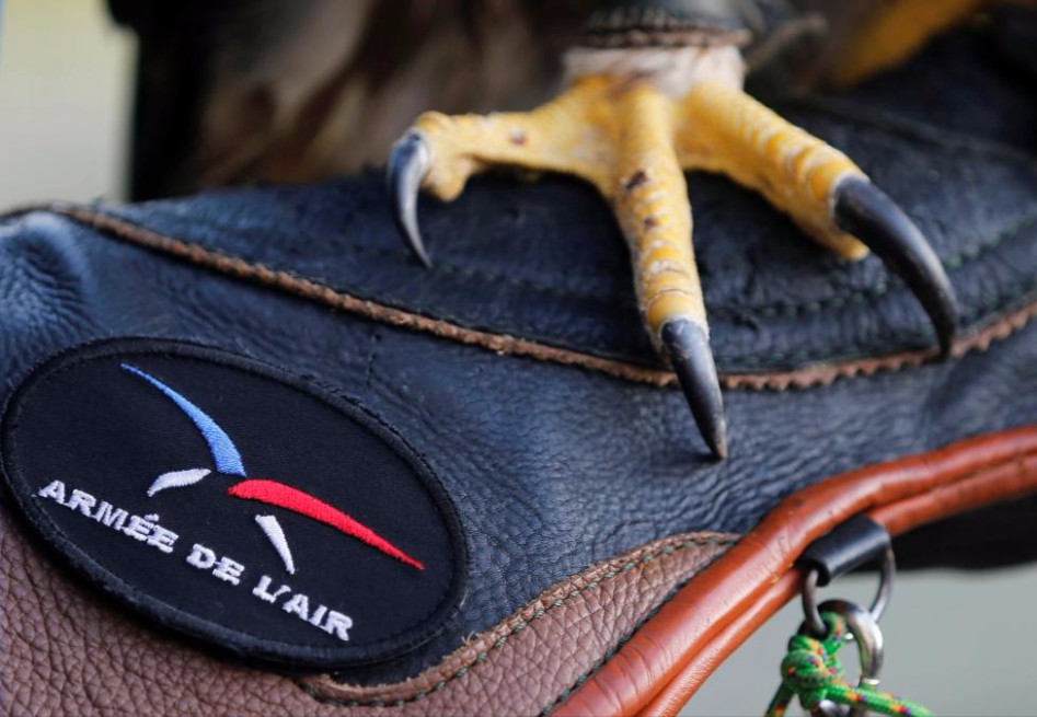 프랑스 공군의 드론 제거 시범._6.jpg