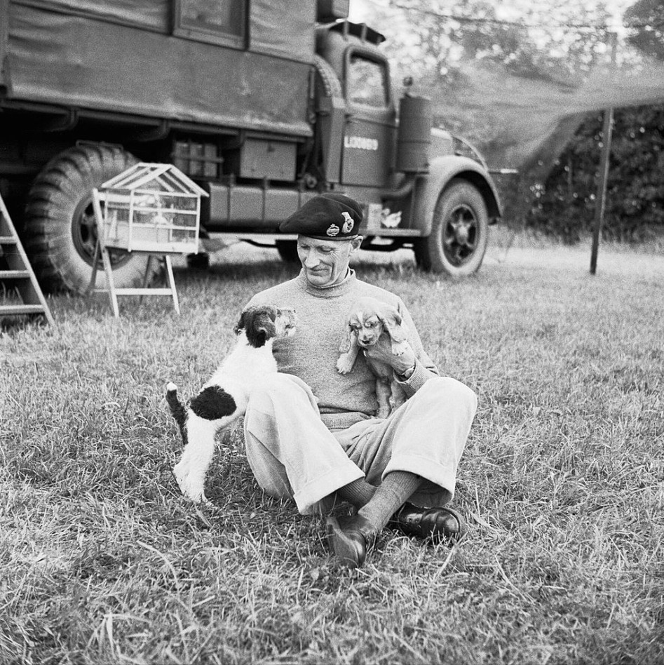 General_Montgomery_with_his_puppies_-Hitler-_and_-Rommel-_at_his_mobile_headquarters_in_Normandy,_6_July_1944._Behind_can_be_seen_his_cage_of_canaries_which_also_travelled_with_him._B6542.jpg