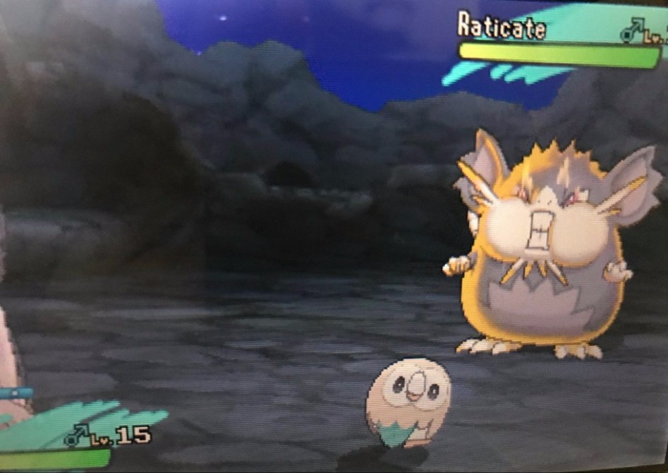 진짜로 쟤랑 싸워요? 쟤 기분 많이 안좋은거 같은데?_1.jpg