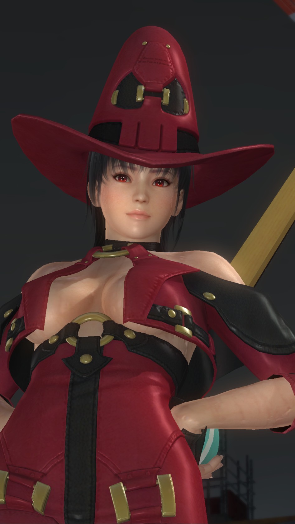 DEAD OR ALIVE 5 Last Round_20170314214812.png