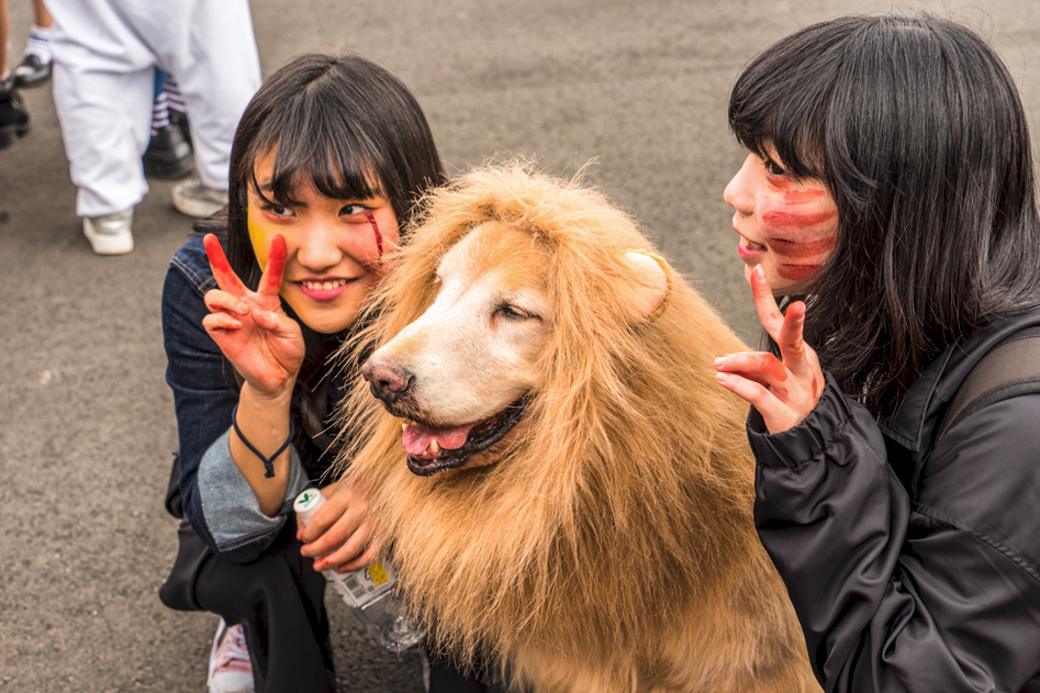도쿄 에서의 스냅샷..._45.jpg