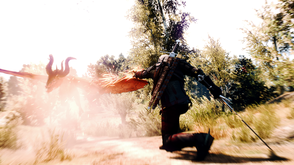 witcher3_2016-06-21_05-11-13-601.png