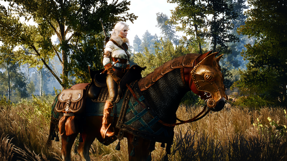 witcher3_2016-06-23_05-49-07-454.png