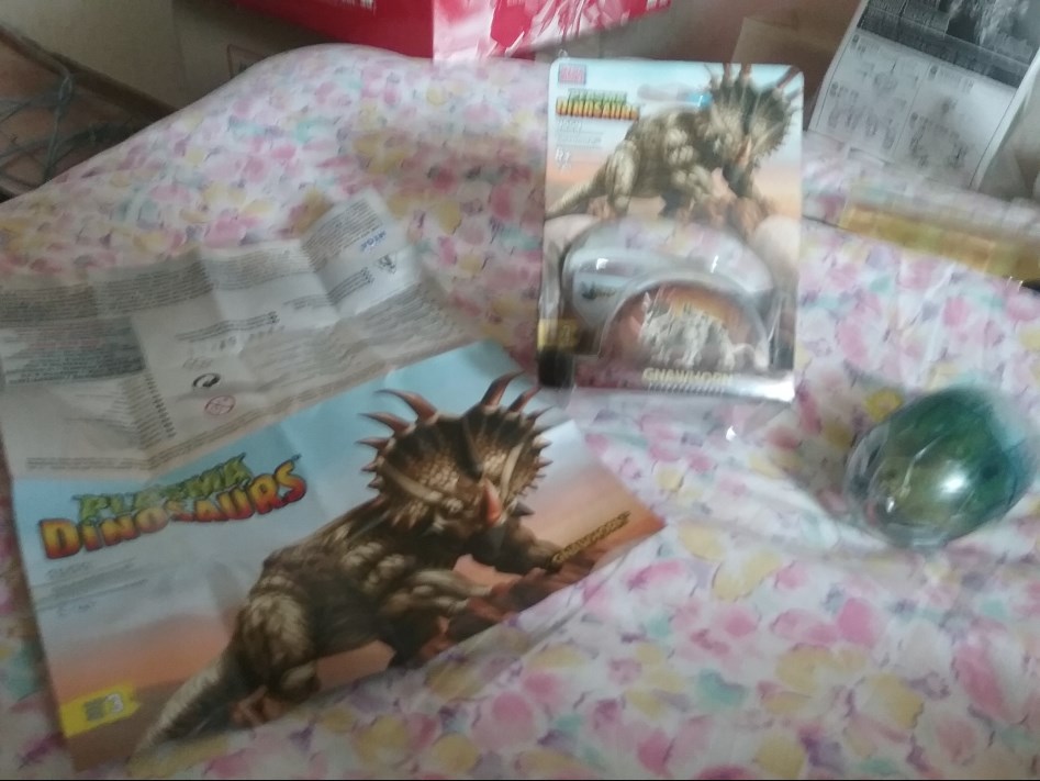 플라즈마 에그 gnawhogn 리뷰_8.jpg