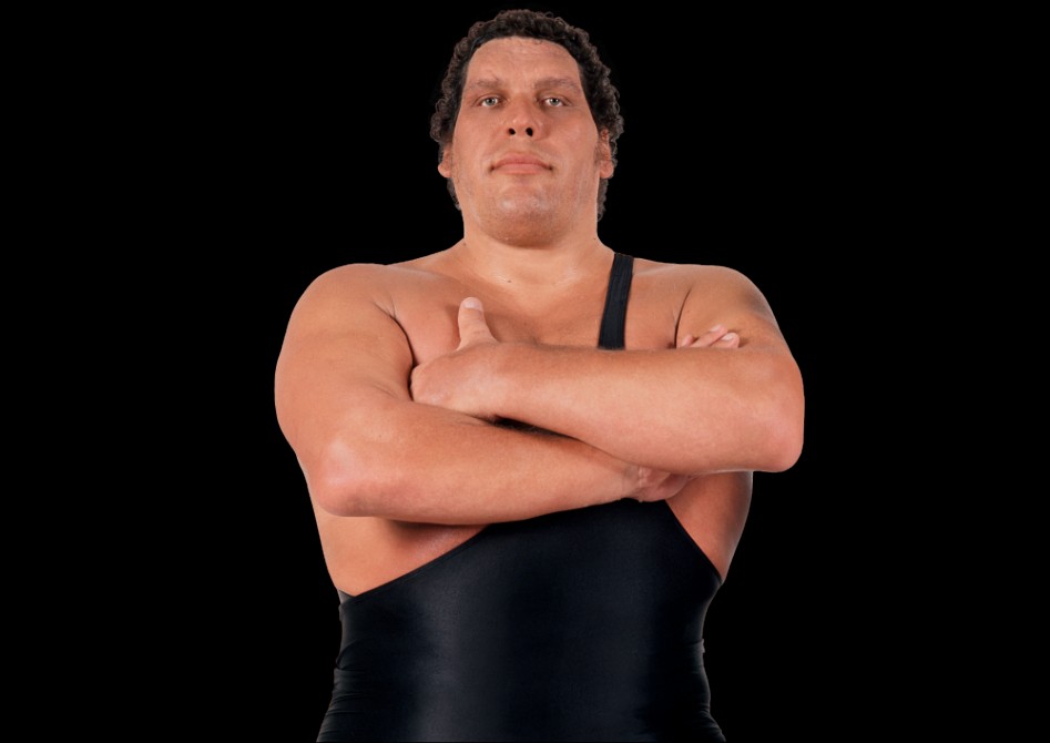 http-%2F%2Fwww.wwe.com%2Ff%2Fstyles%2Ftalent_champion_lg%2Fpublic%2Frd-talent%2FProfile%2FAndre_The_Giant_pro.png