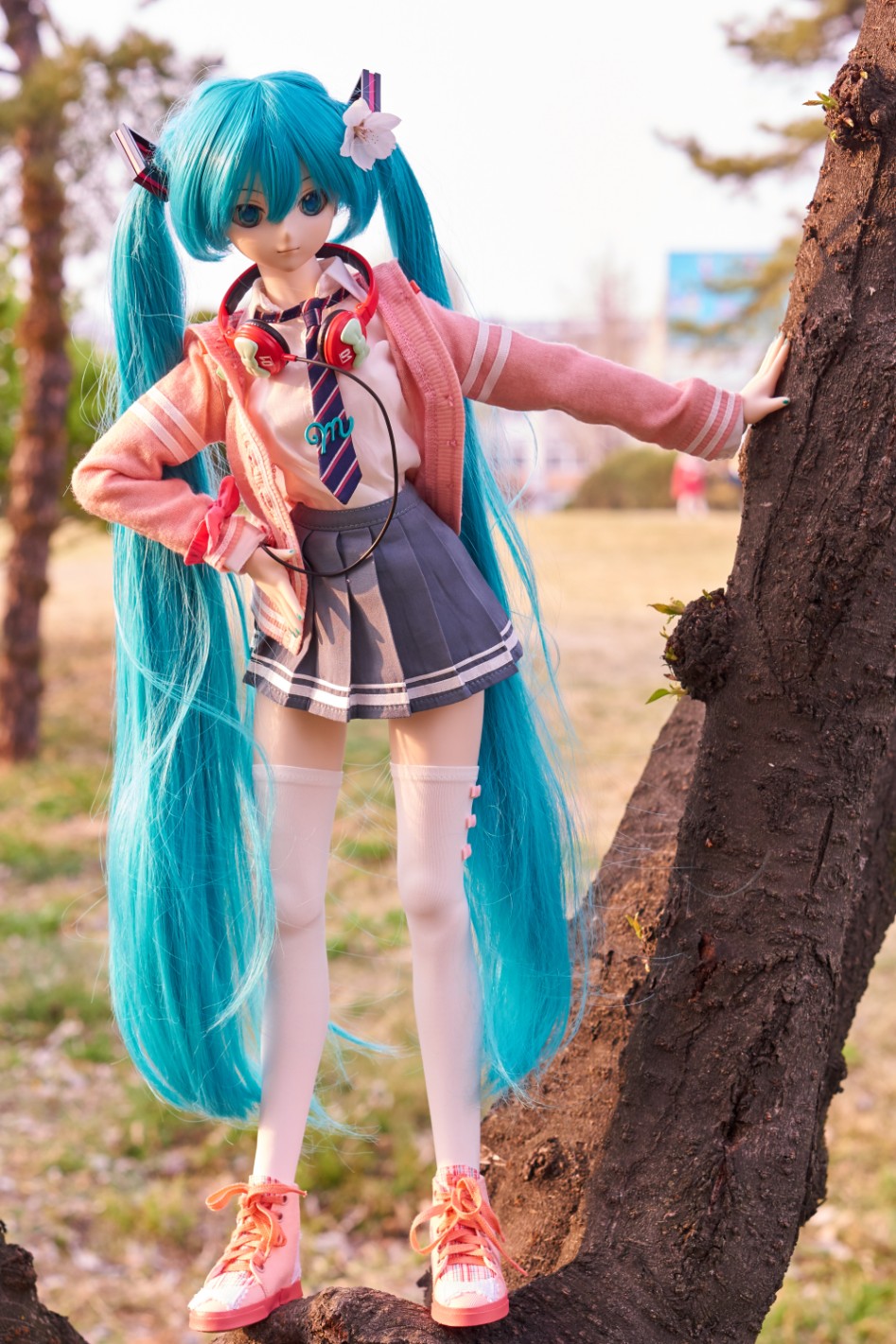 미쿠와 벚꽃 출사_10.jpg