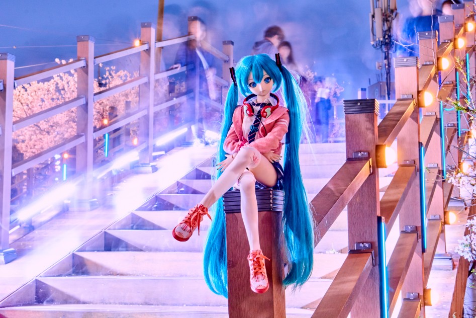 미쿠와 벚꽃 출사_18.jpg