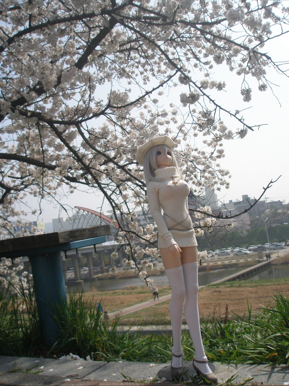 (스압주의)봄의 벗꽃출사 첫째 날 아리사_4.jpg