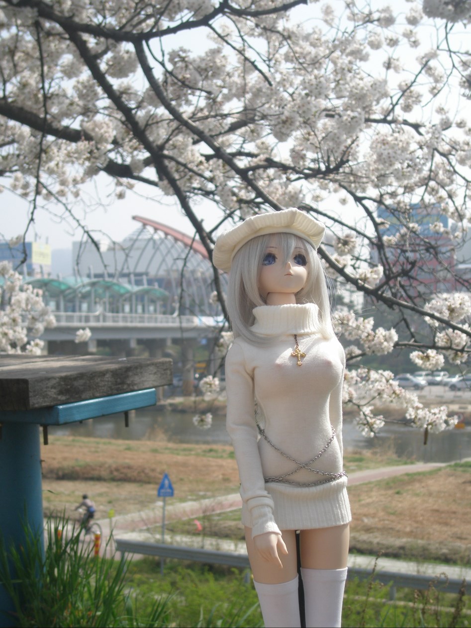 (스압주의)봄의 벗꽃출사 첫째 날 아리사_6.jpg