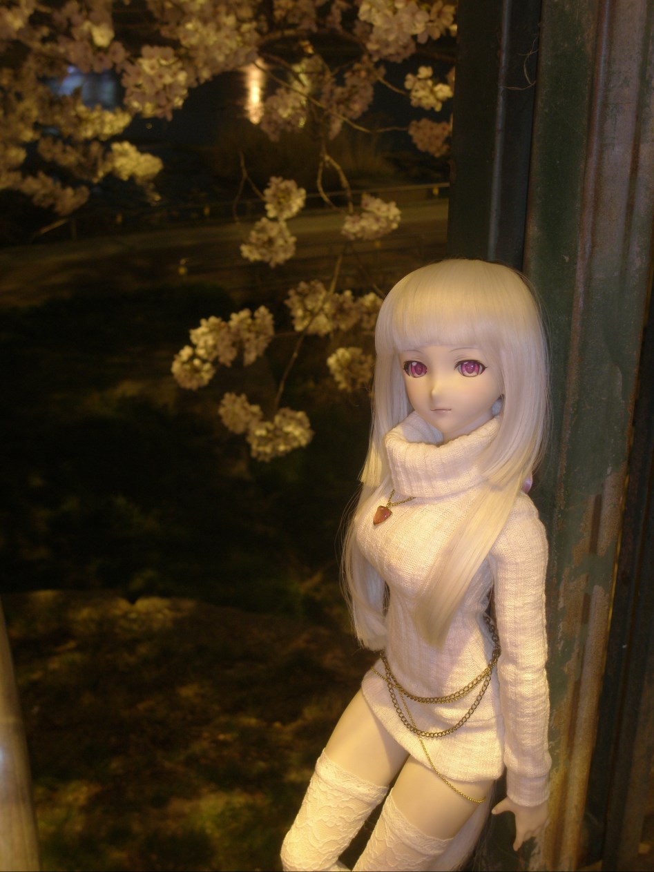 (스압주의)봄의 벗꽃출사 첫째 날 타카네_18.jpg