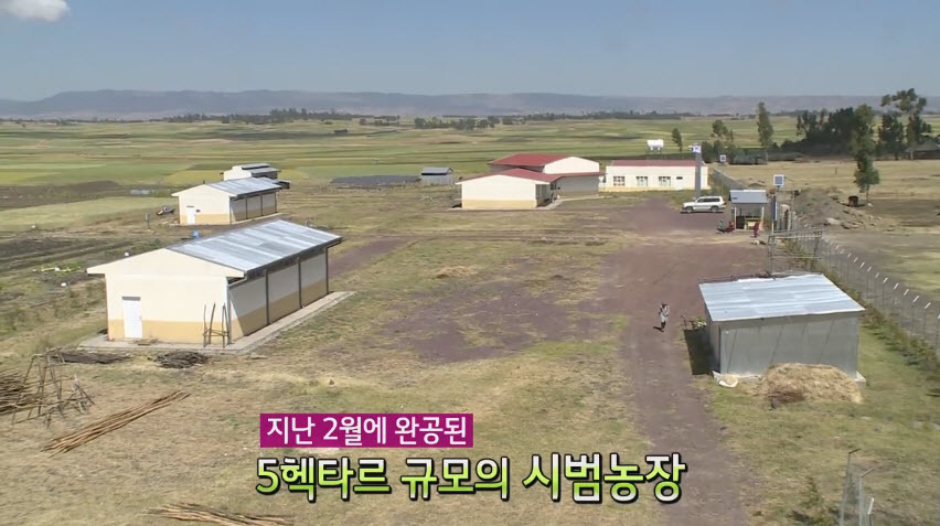 현실에서 심시티를 하는 LG 수준.JPG_2.jpg