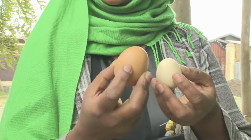 현실에서 심시티를 하는 LG 수준.JPG_10.jpg